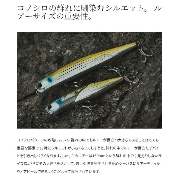 EXSENCE カウンターウェイク 160F JET